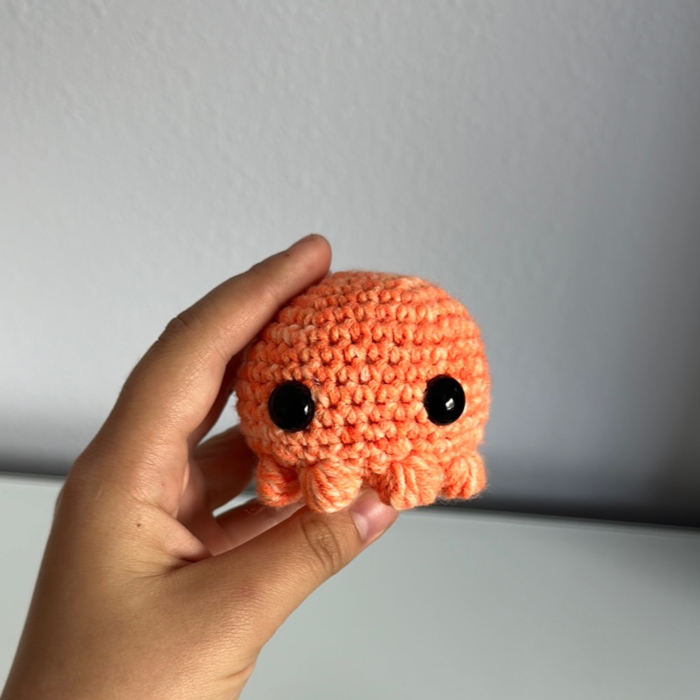 Crochet Pocket Octopus
